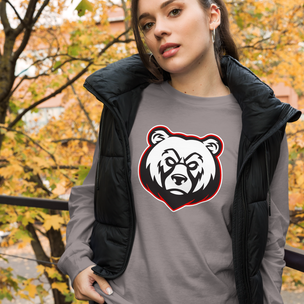 Bear River High School Design 2 — Storm