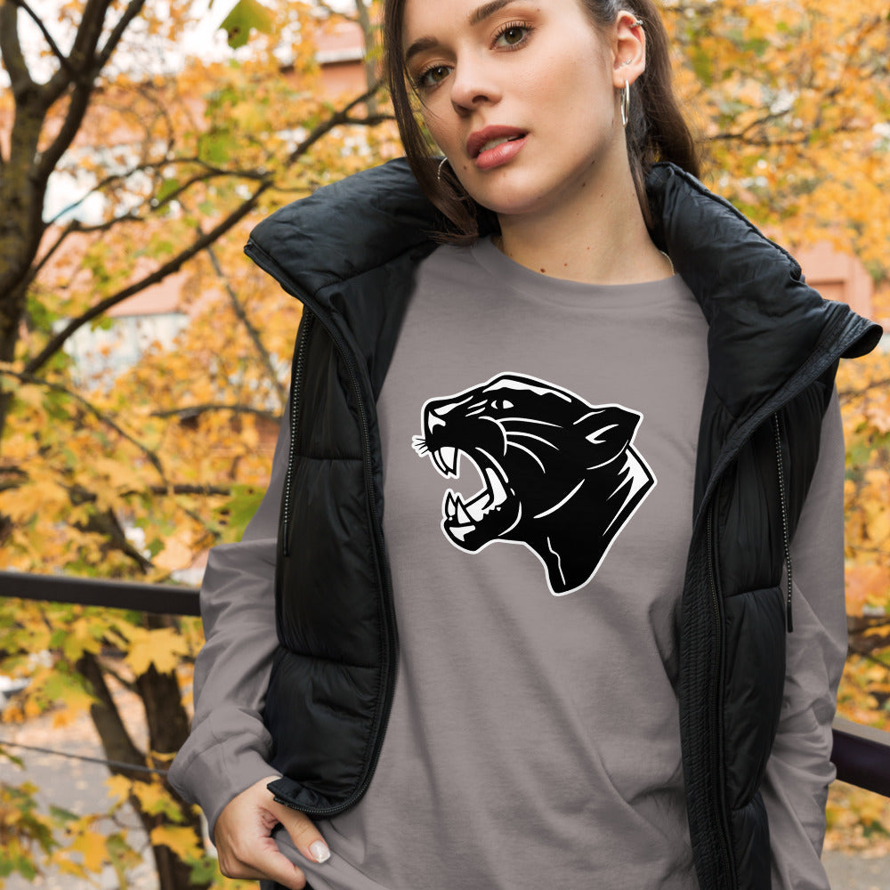 Collinsville High School Design 2 — Storm