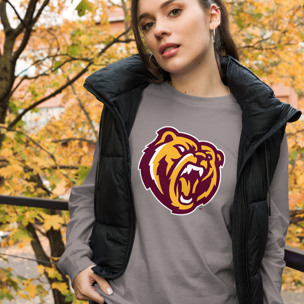 Robertsdale High School Design 2 — Storm