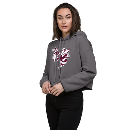 Abbeville High School Design 2 — Storm