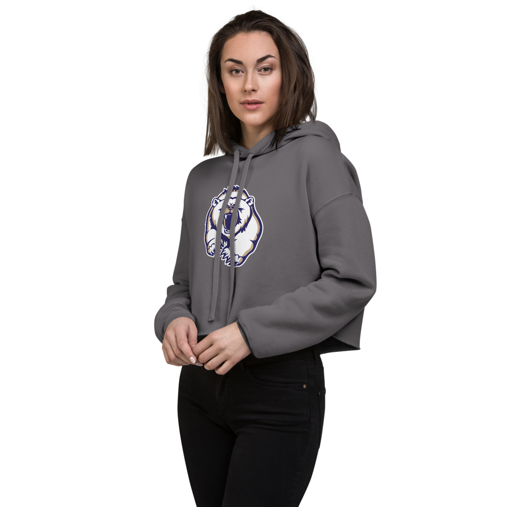 Spring Valley Grizzlies Design 2 — Storm