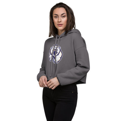 Spring Valley Grizzlies Design 2 — Storm
