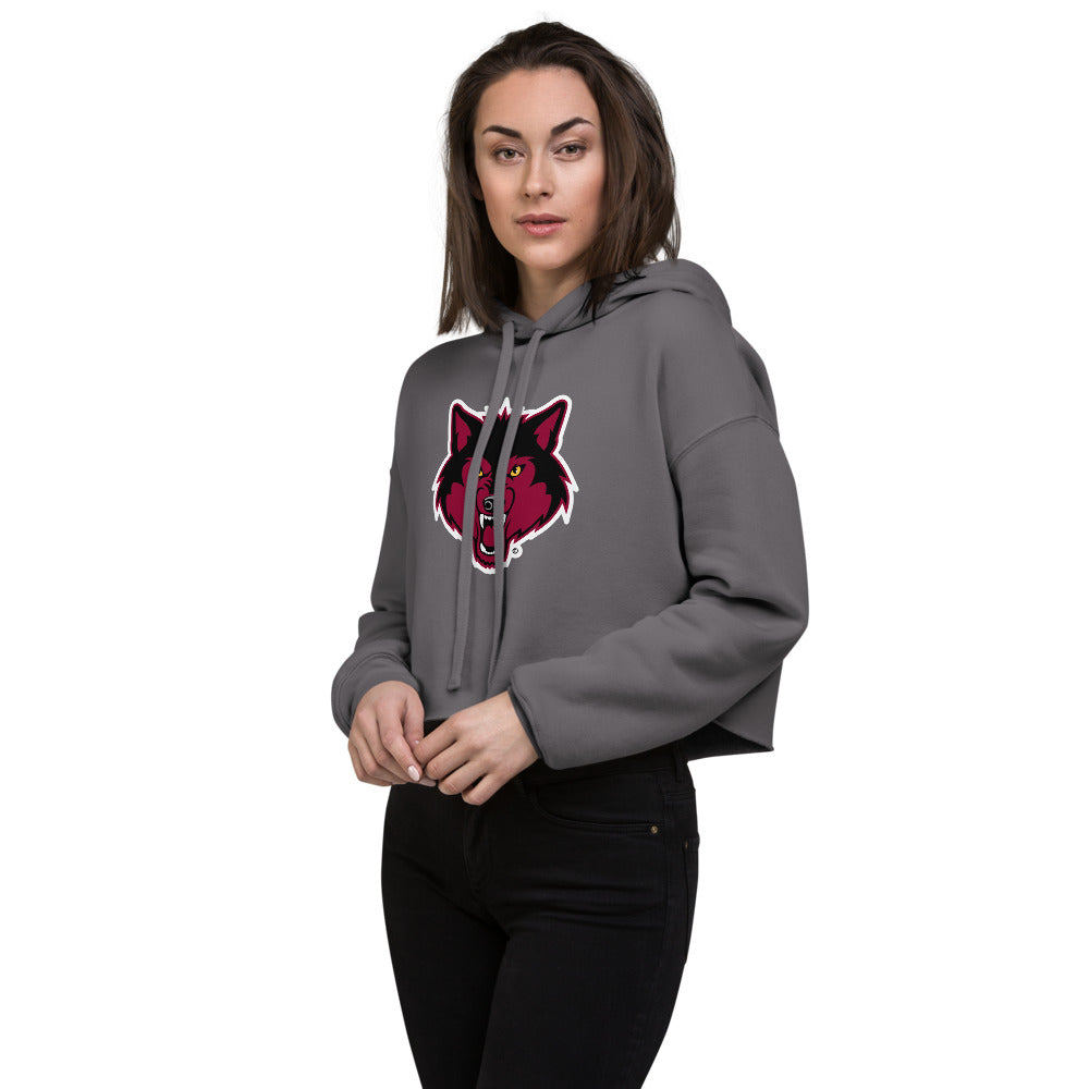 Dothan High School Design 2 — Storm