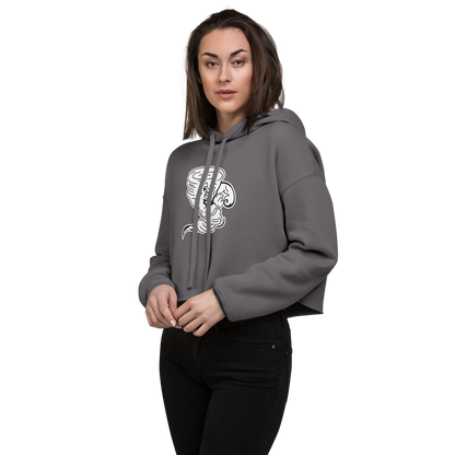 Dayton High School Design 2 — Storm