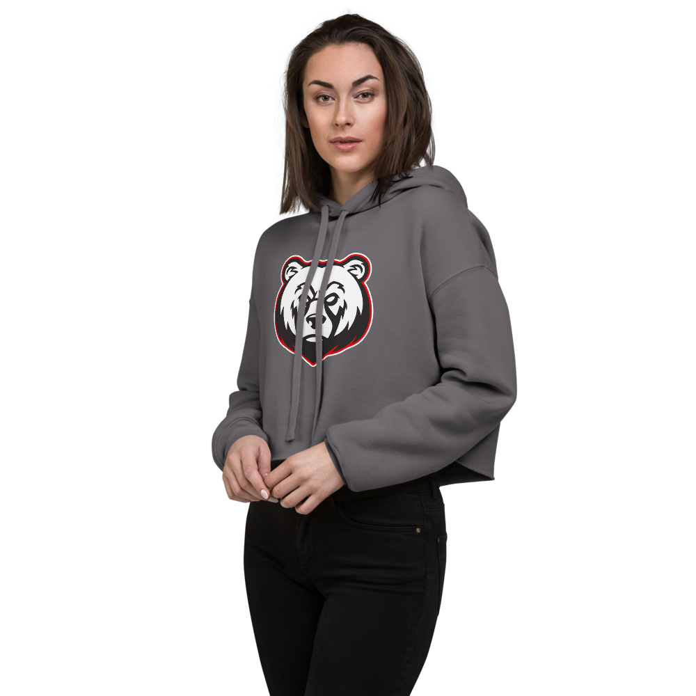 Bear River High School Design 2 — Storm
