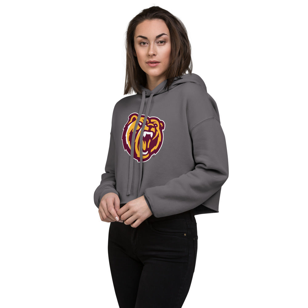 Robertsdale High School Design 2 — Storm