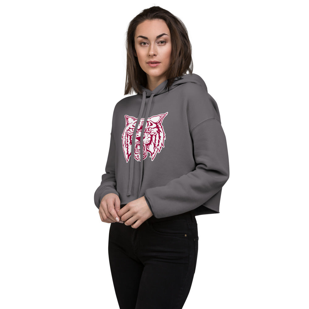 Citronelle High School Design 2 — Storm