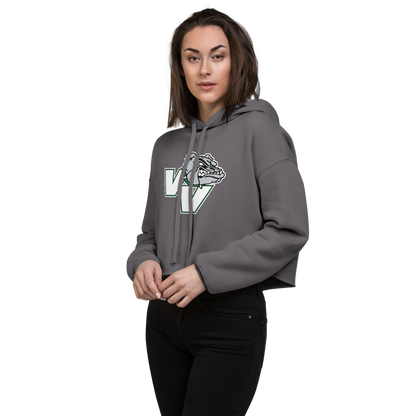 Virgin Valley High School Design 2 — Storm