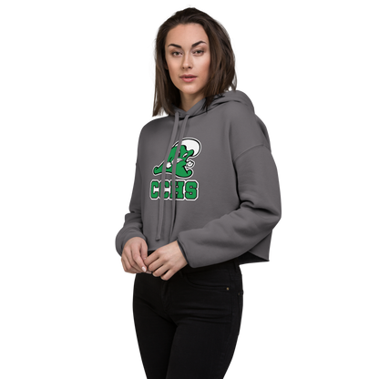 Churchill County High School Design 2 — Storm