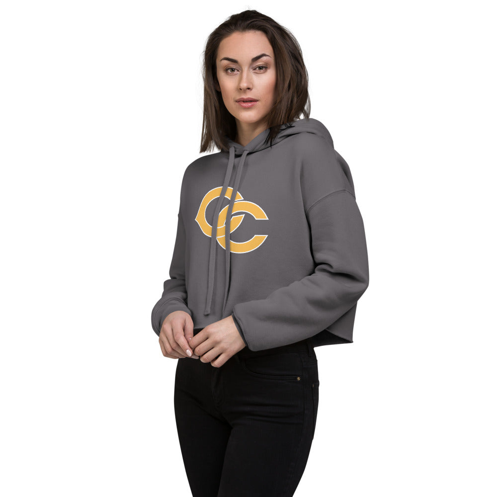 Cherokee County HIgh School Design 2 — Storm