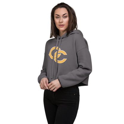 Cherokee County HIgh School Design 2 — Storm
