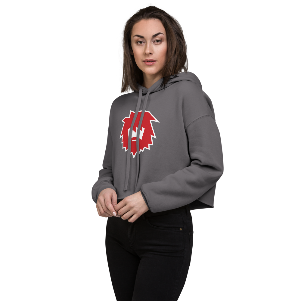 American Fork Cavemen Design 2 — Storm