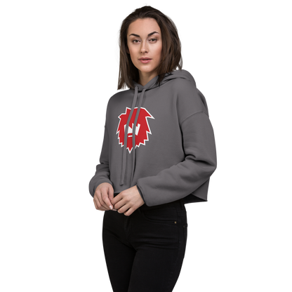 American Fork Cavemen Design 2 — Storm