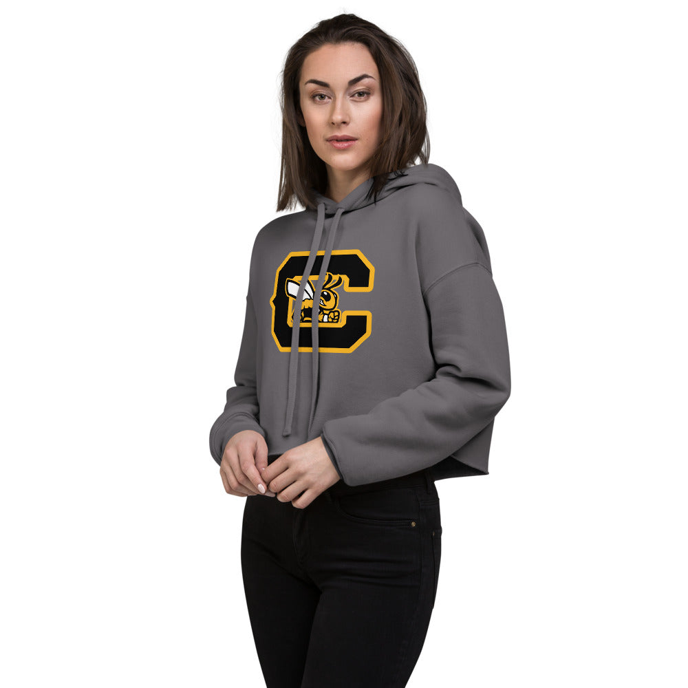 Corner High School Design 2 — Storm