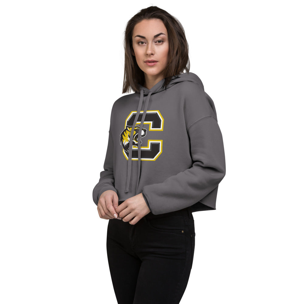 B B Comer High School Design 2 — Storm