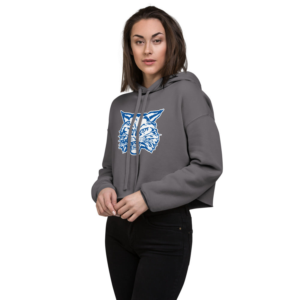 West Limestone High School Design 2 — Storm