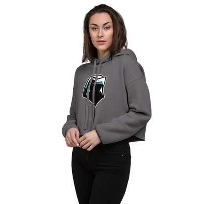 Silverado High School Design 2 — Storm