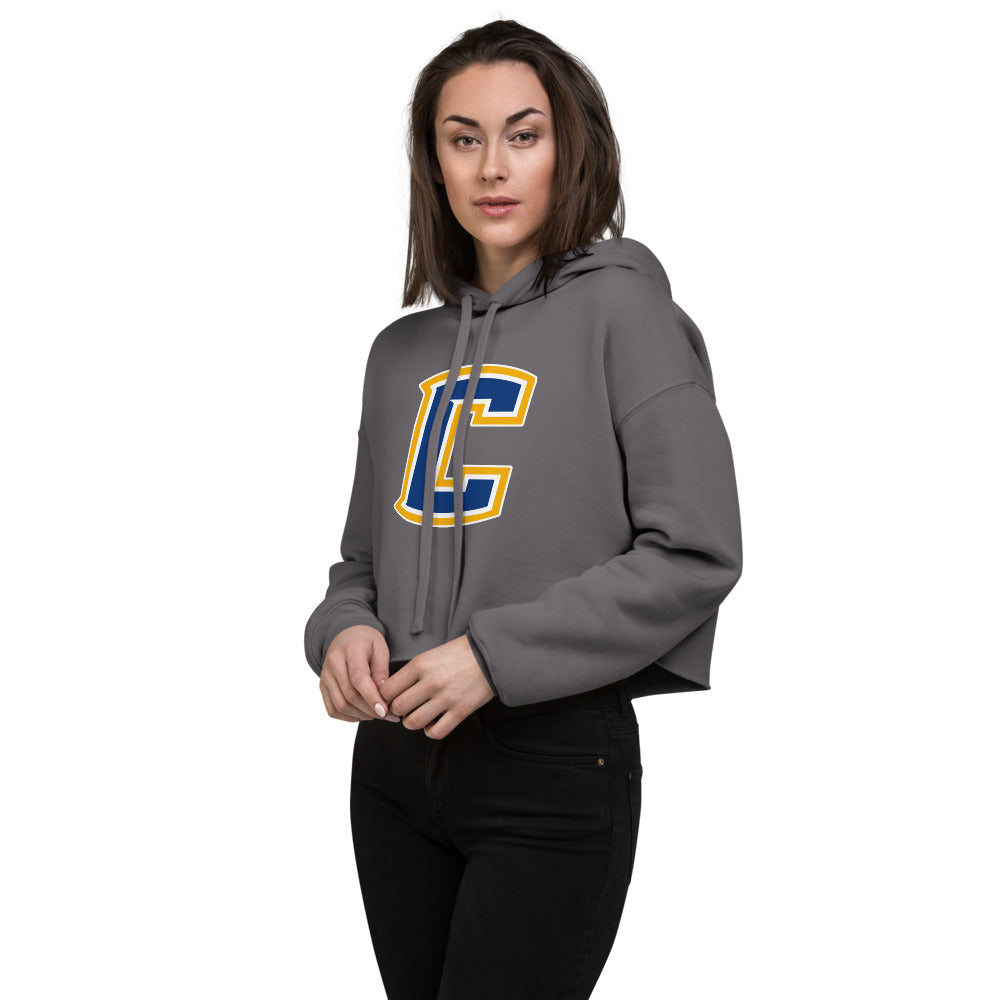 Curry High School Design 2 — Storm
