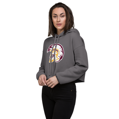Pahrump Valley High School Design 2 — Storm