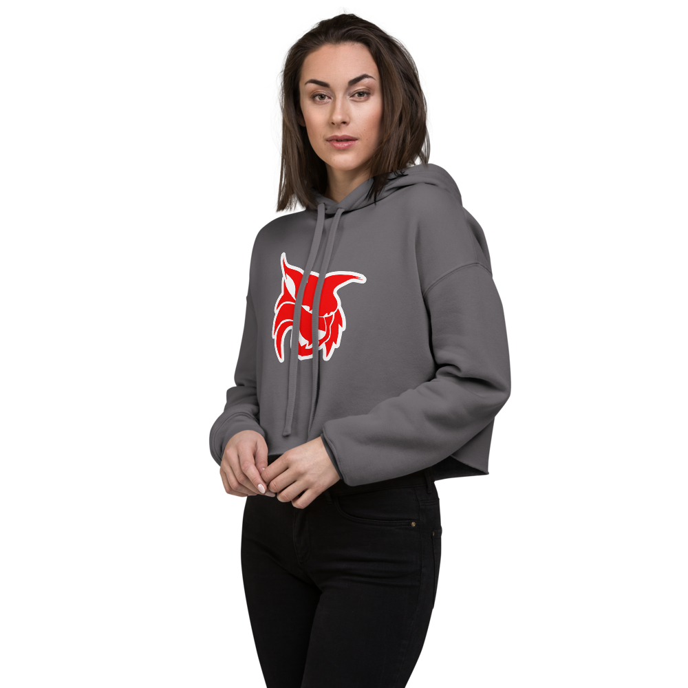 Lincoln County High School Design 2 — Storm
