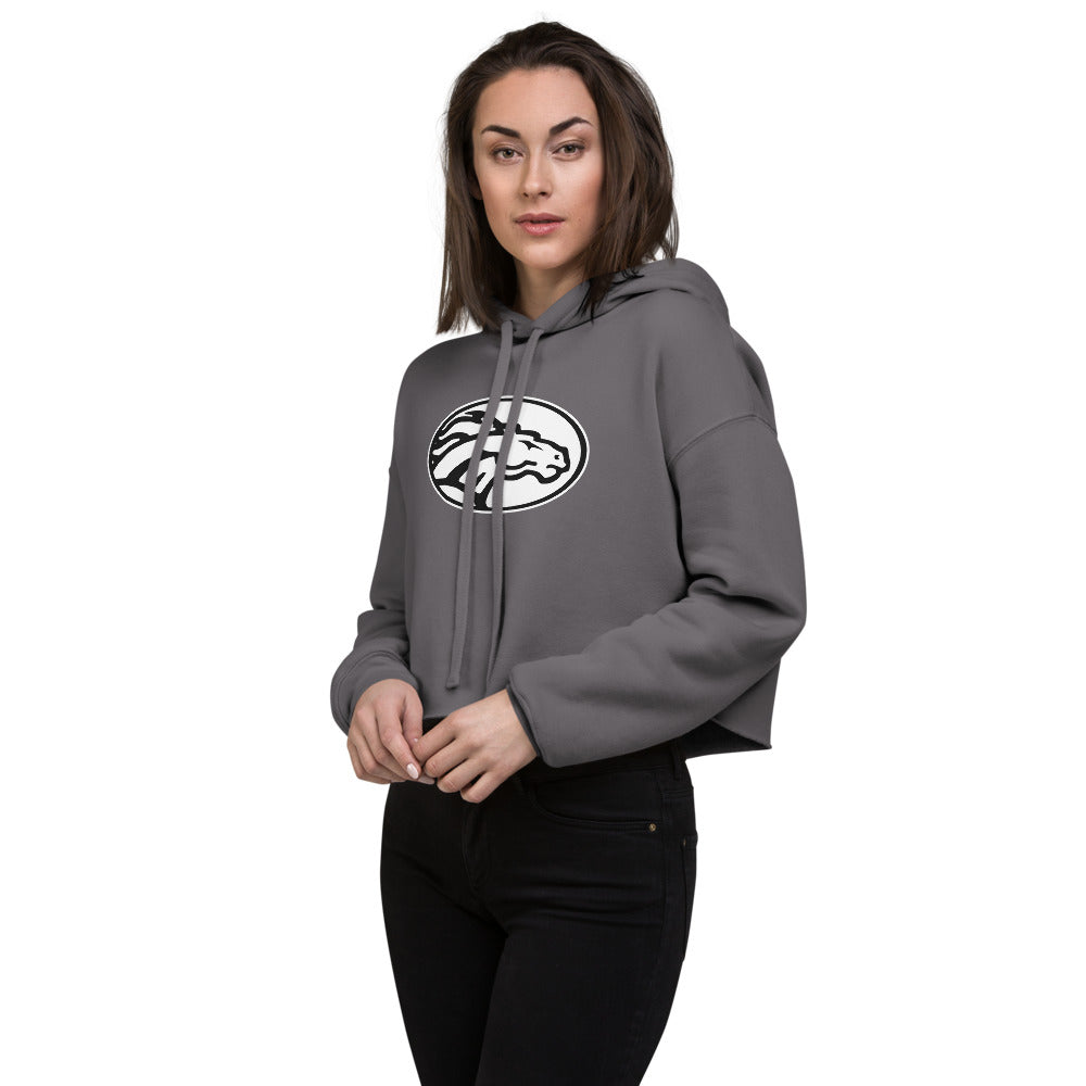 Clements High School Design 2 — Storm
