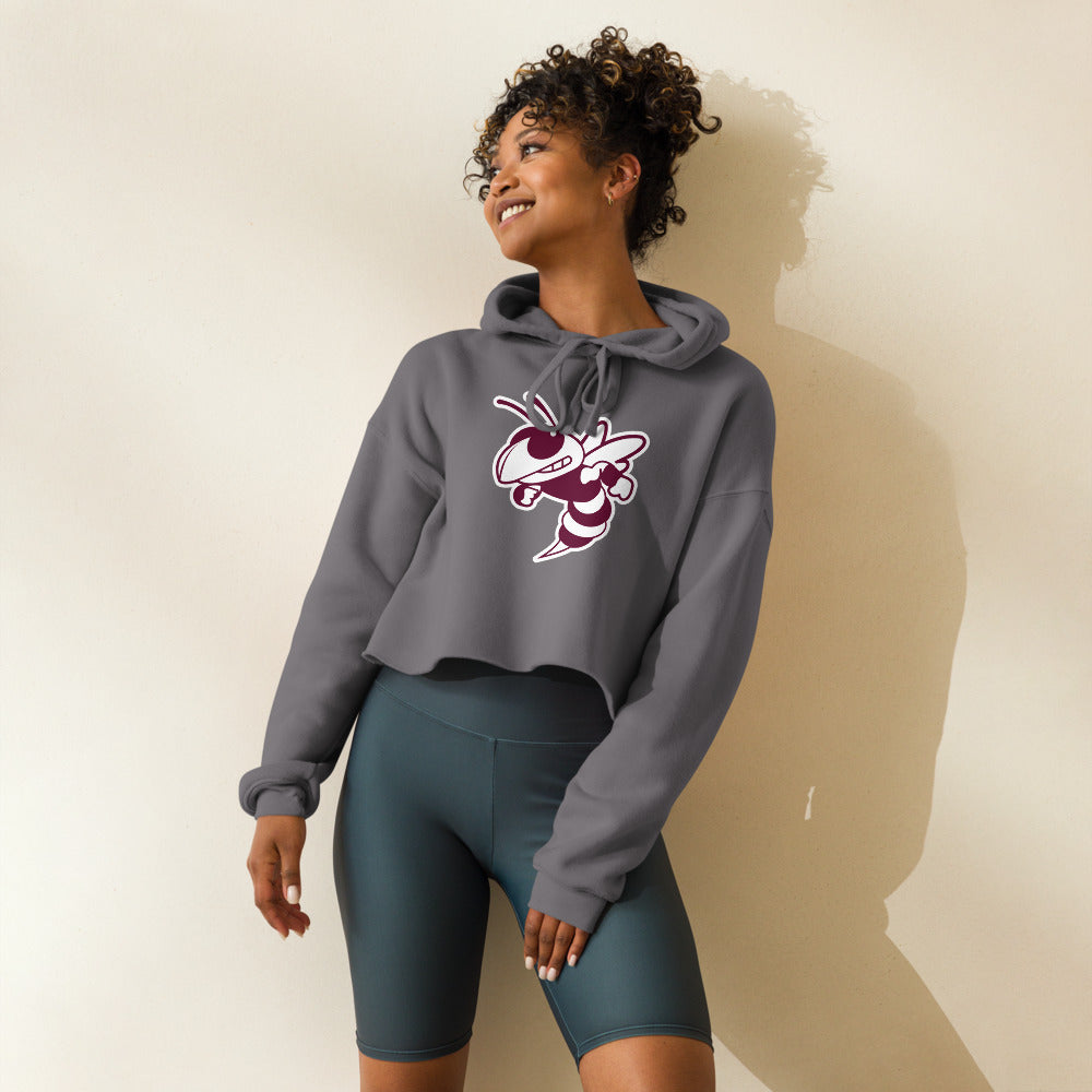 Abbeville High School Design 2 — Storm