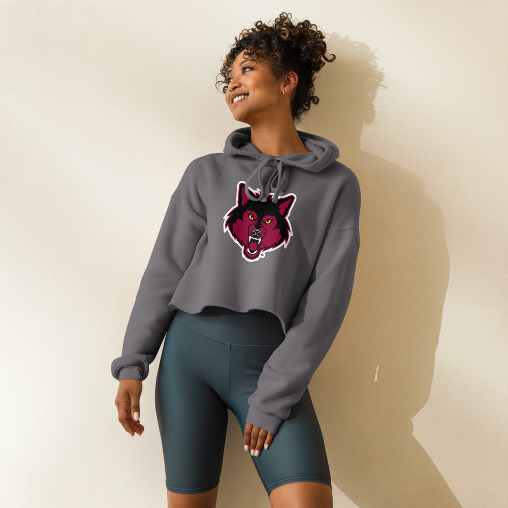 Dothan High School Design 2 — Storm