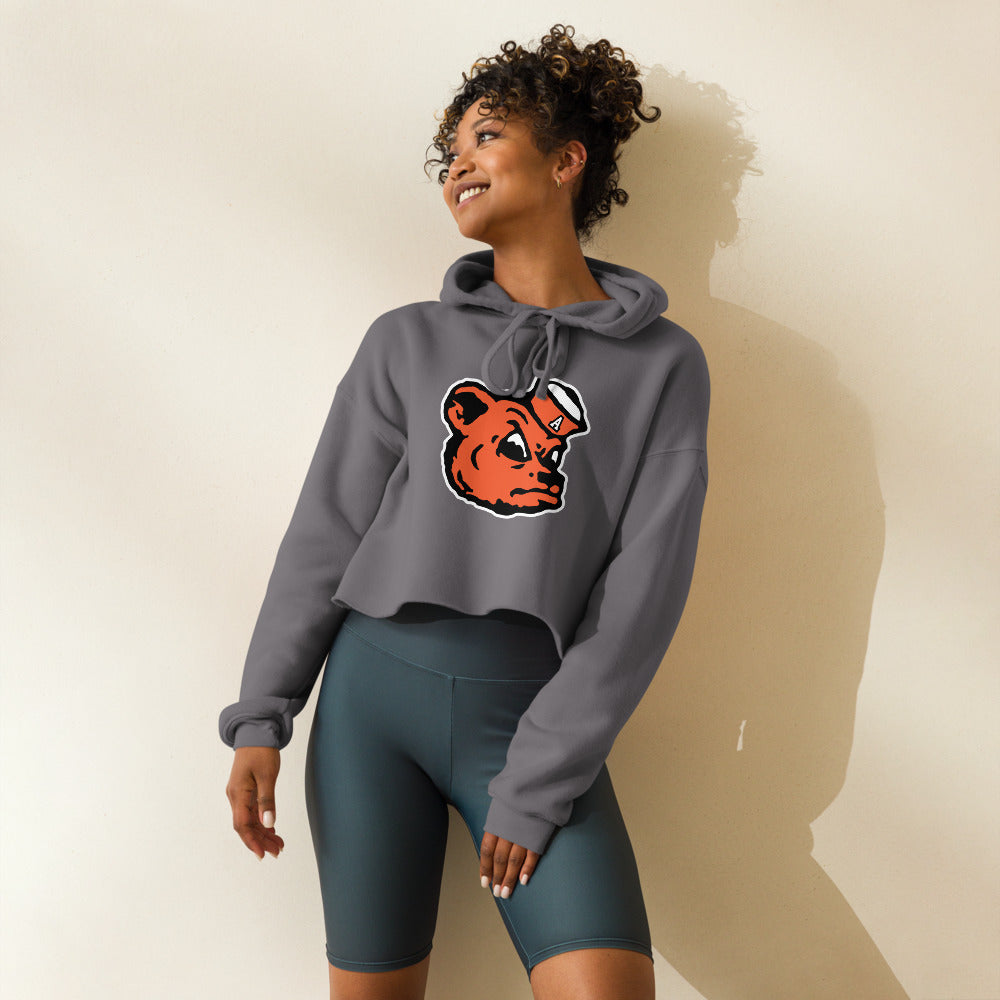 Alexandria High School Design 2 — Storm