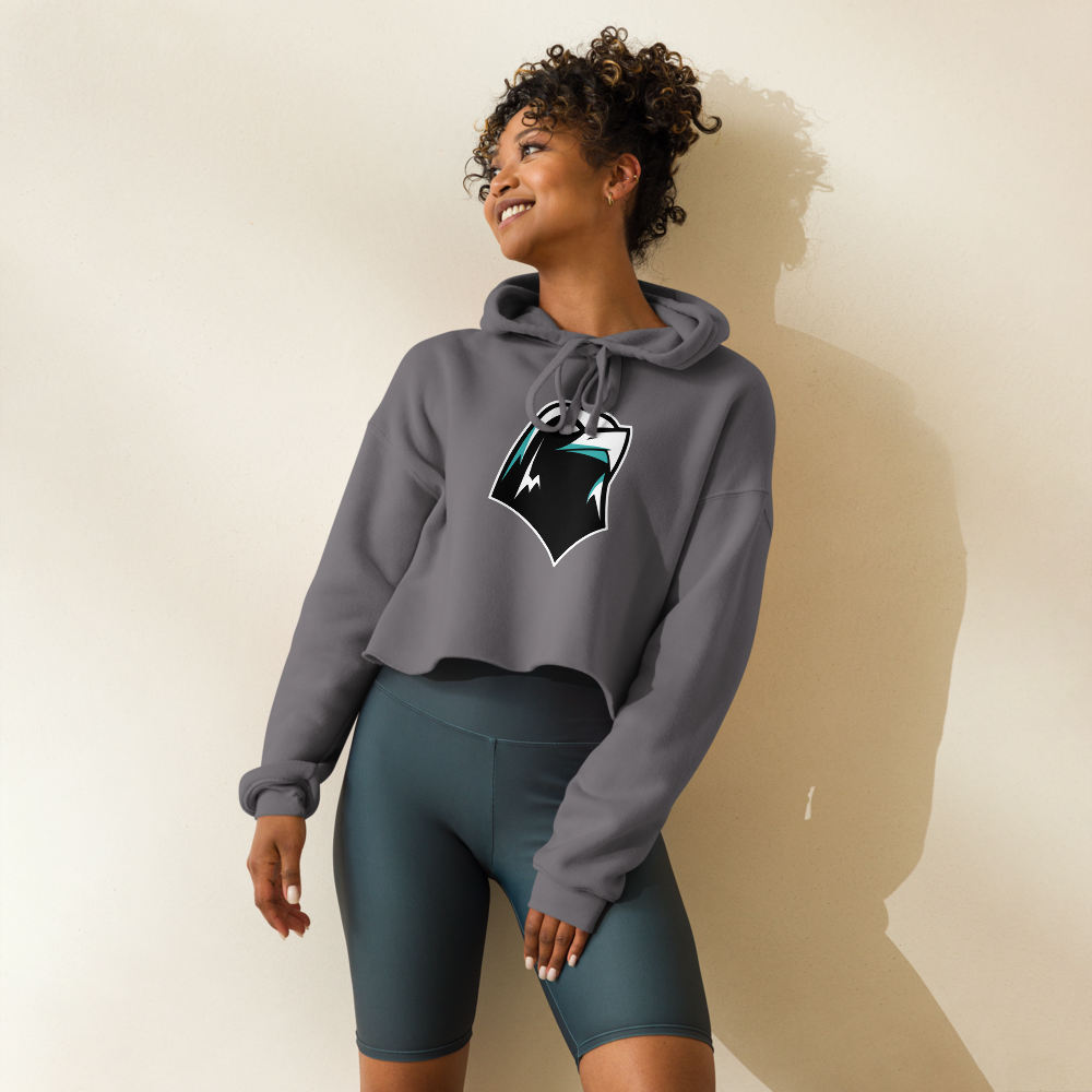 Silverado High School Design 2 — Storm