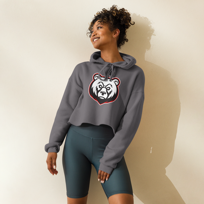 Bear River High School Design 2 — Storm