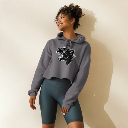 Collinsville High School Design 2 — Storm