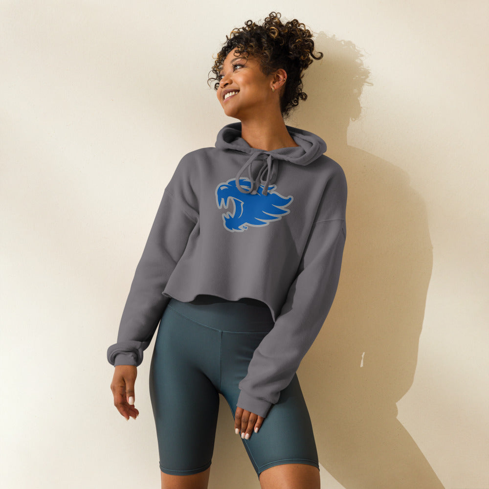 Colbert Heights High School Design 2 — Storm