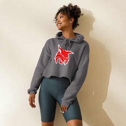 Lincoln County High School Design 2 — Storm