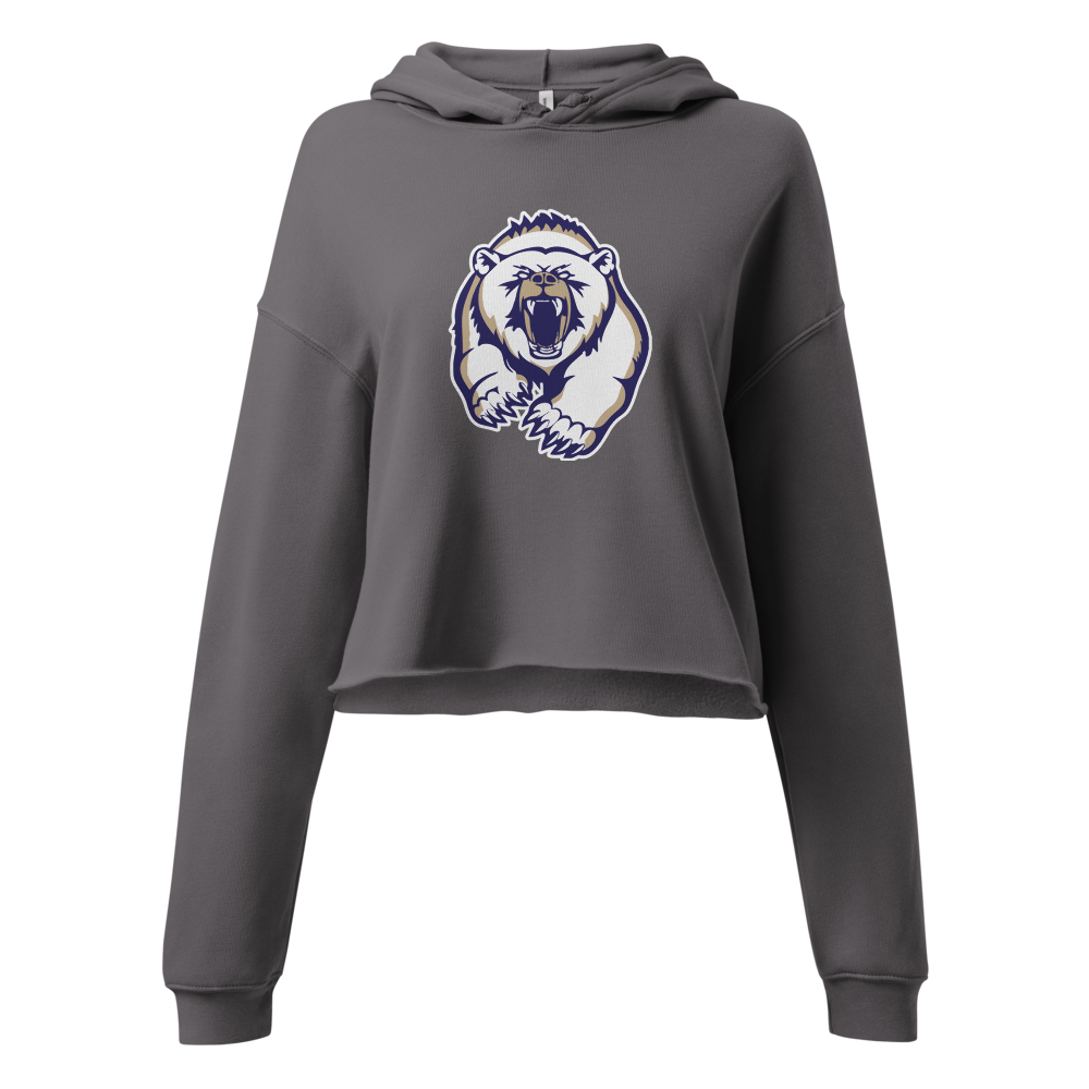 Spring Valley Grizzlies Design 2 — Storm