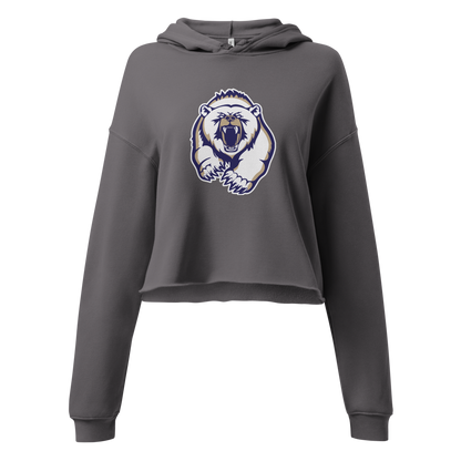 Spring Valley Grizzlies Design 2 — Storm