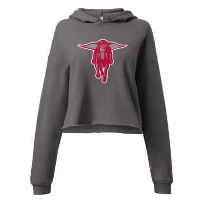 B.C. Rain High School Design 2 — Storm