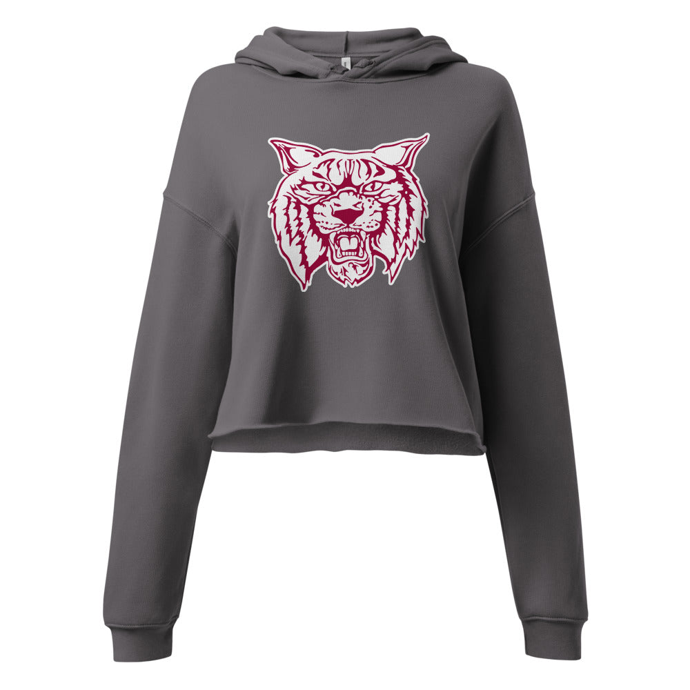 Citronelle High School Design 2 — Storm