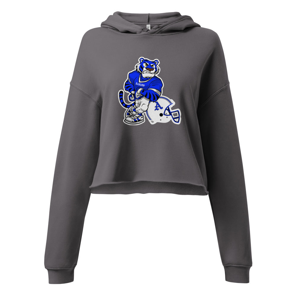 Auburn High School Design 2 — Storm