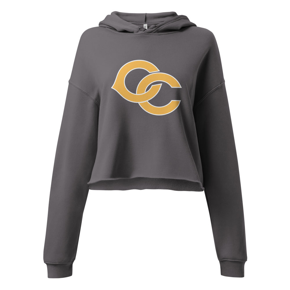 Cherokee County HIgh School Design 2 — Storm