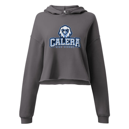 Calera High School Design 2 — Storm