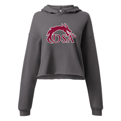 Del Sol Academy of the Performing Arts Design 2 — Storm