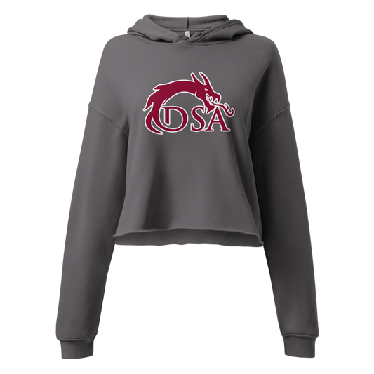 Del Sol Academy of the Performing Arts Design 2 — Storm