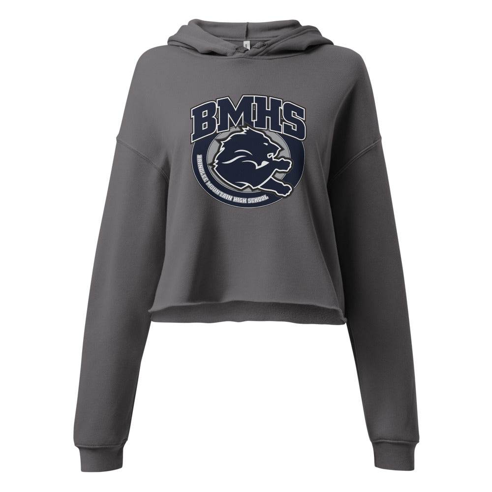 Brindlee Mountain High School Design 2 — Storm