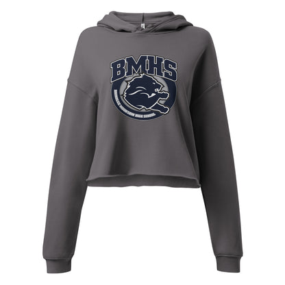 Brindlee Mountain High School Design 2 — Storm