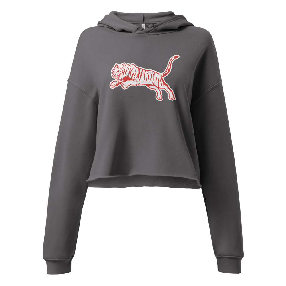 Milford High School Design 2 — Storm