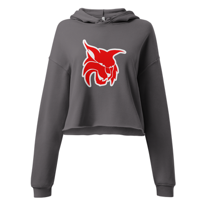 Lincoln County High School Design 2 — Storm