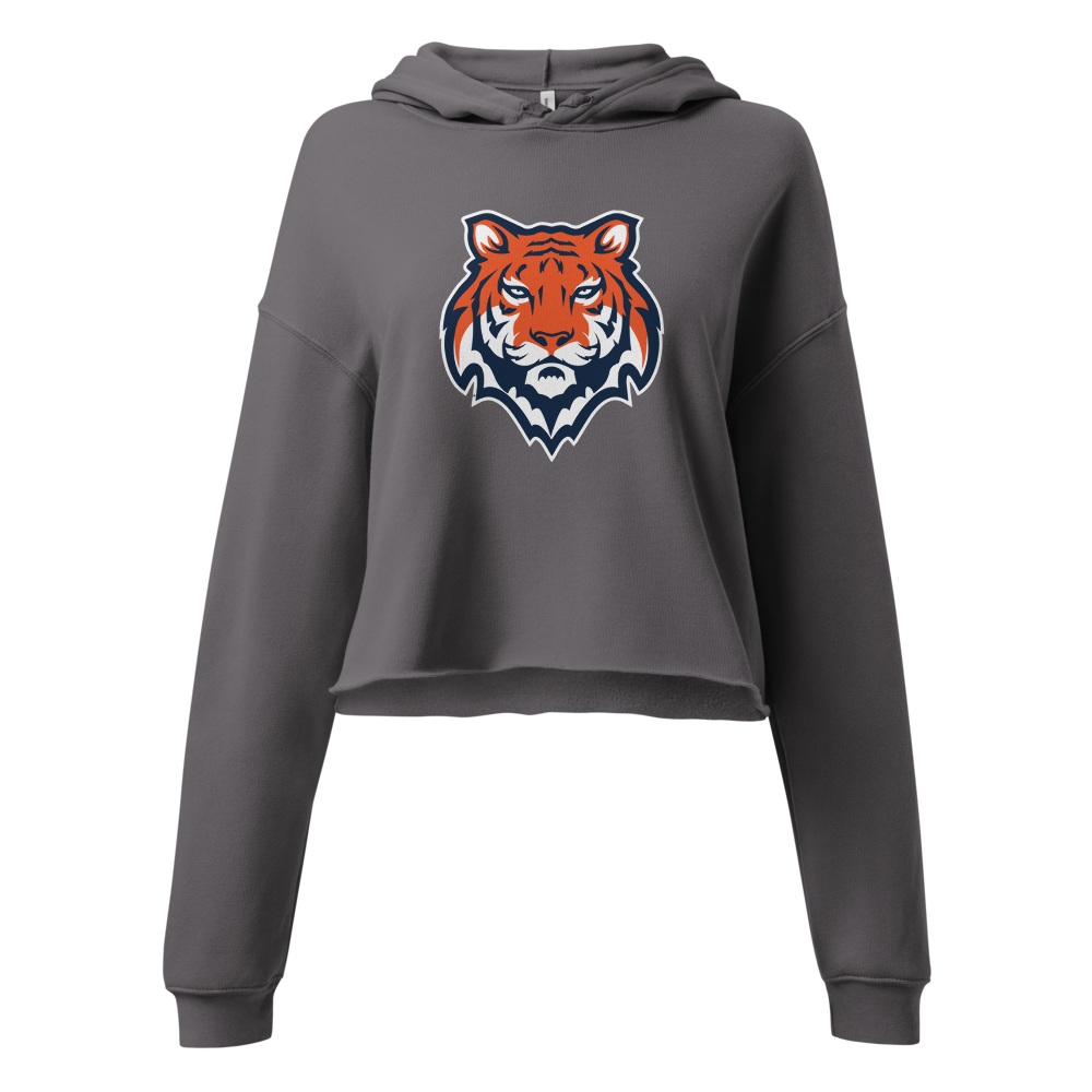 Brighton High School Design 2 — Storm