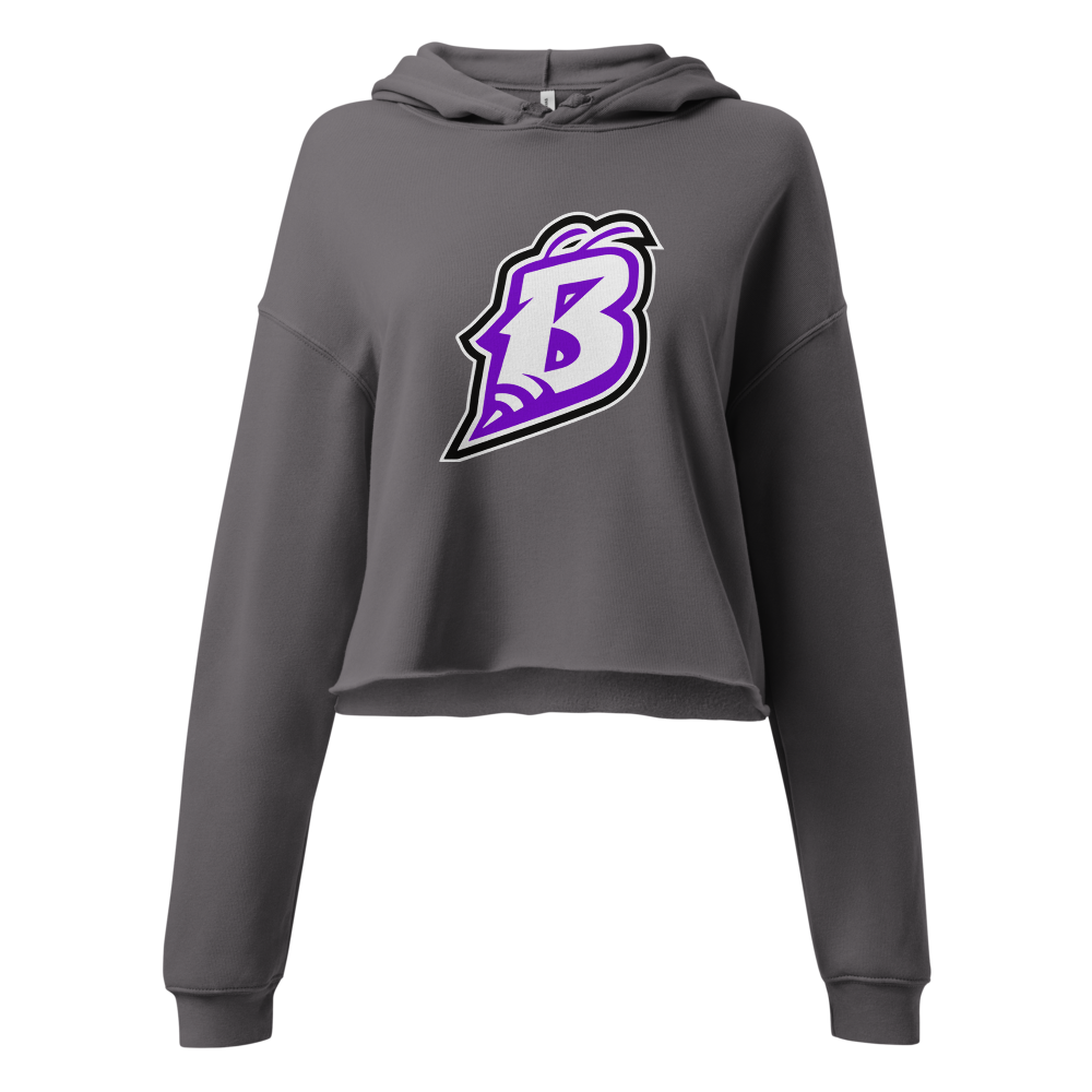 Box Elder High School Design 2 — Storm