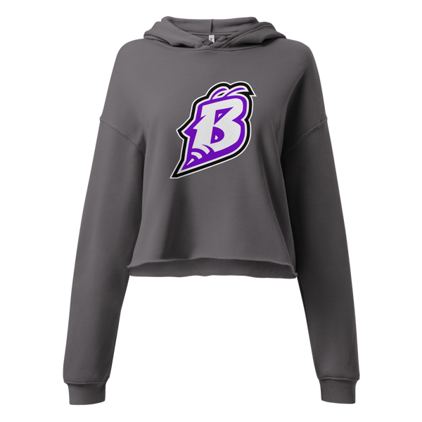 Box Elder High School Design 2 — Storm