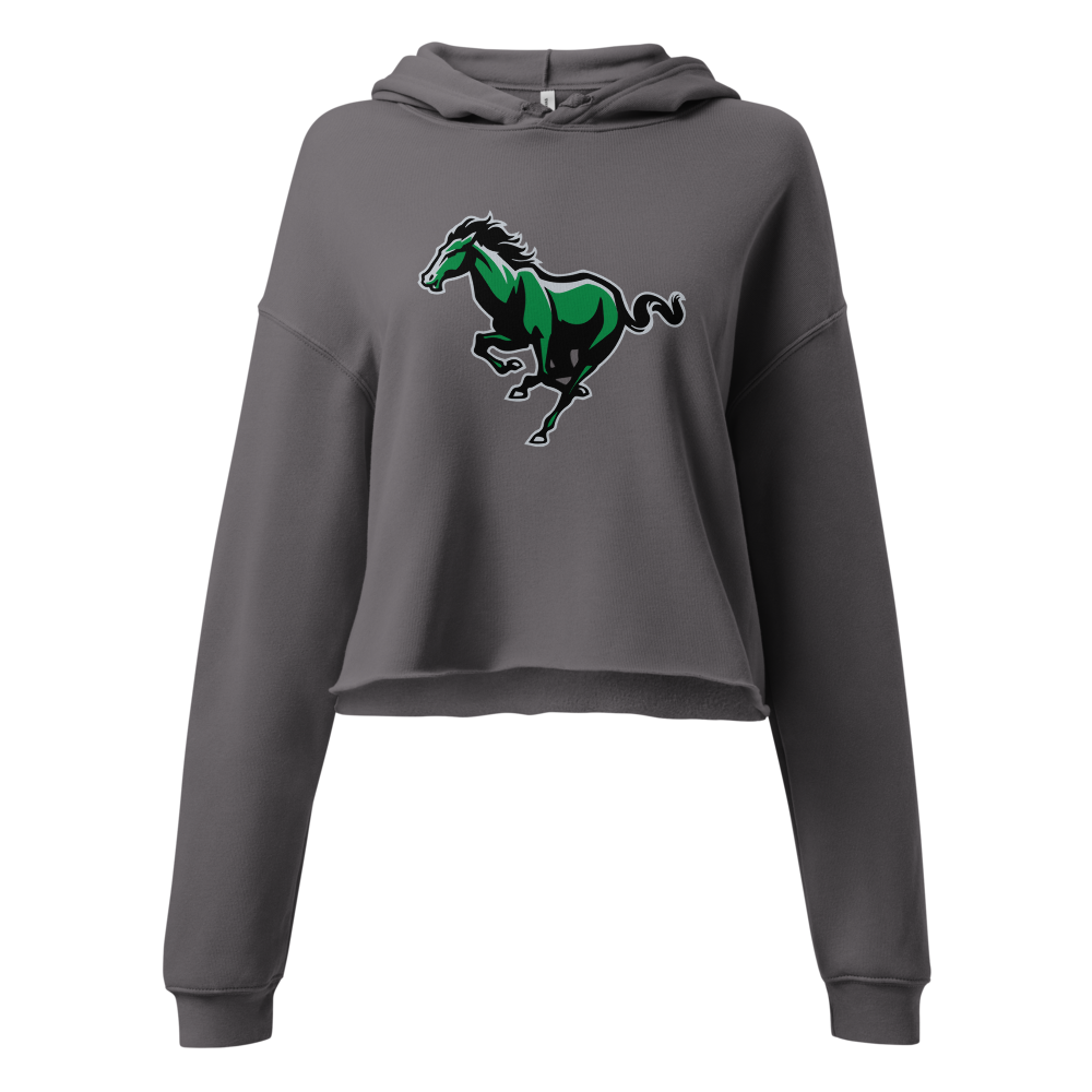 Bryce Valley High School Design 2 — Storm